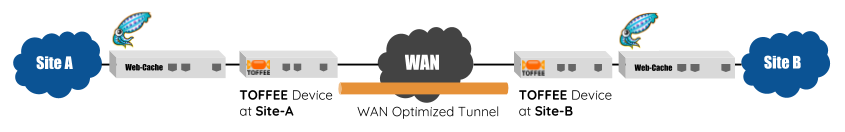 TOFFEE WAN Optimization with Squid Cache Proxy topology